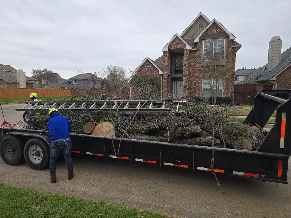 Expert Tree Pest Control with proper safety equipment in Ralph